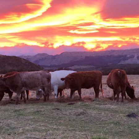 Mohaka River Farm Te Haroto ภายนอก รูปภาพ