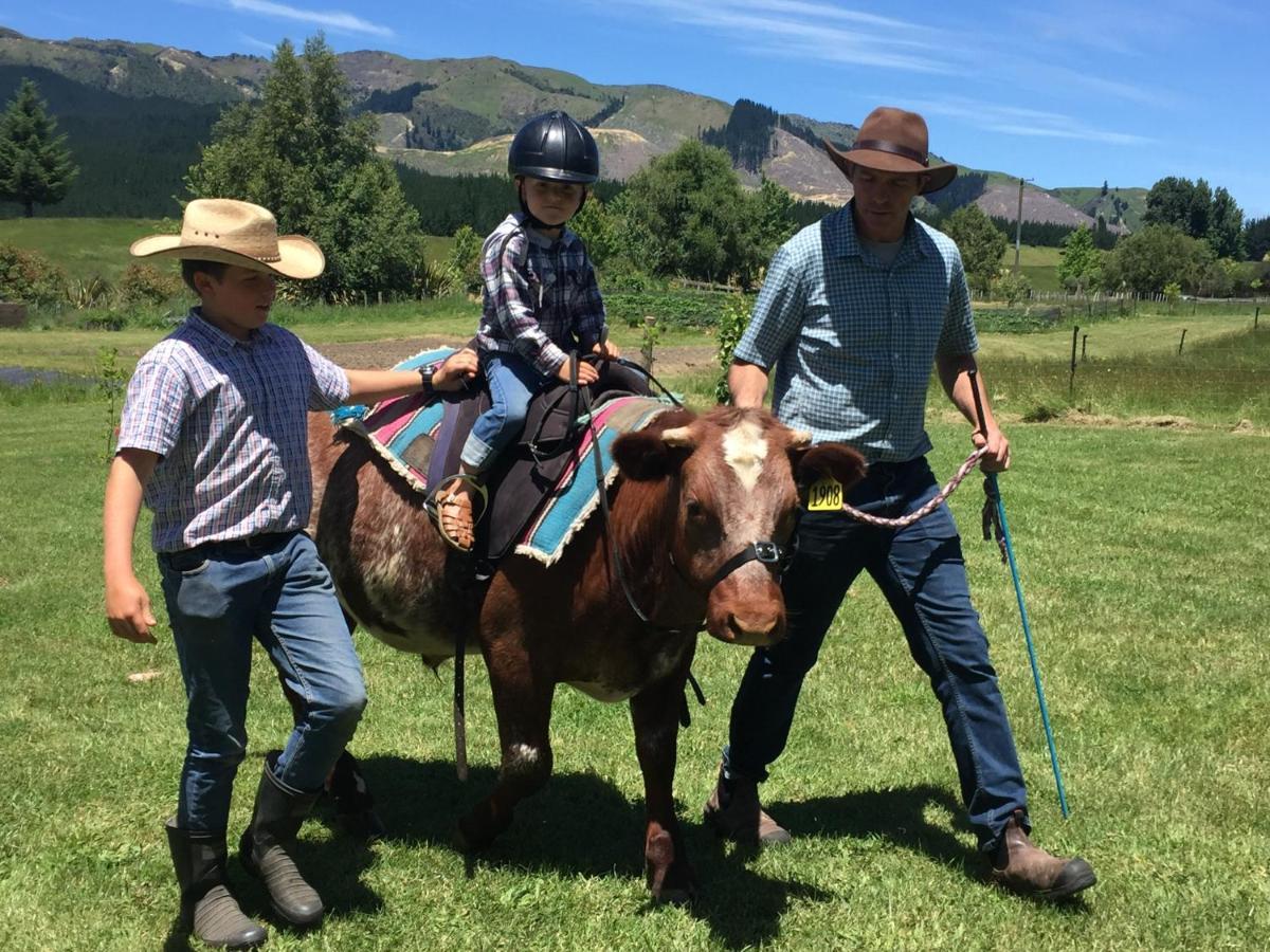 Mohaka River Farm Te Haroto ภายนอก รูปภาพ