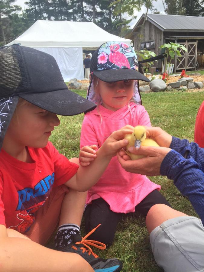 Mohaka River Farm Te Haroto ภายนอก รูปภาพ