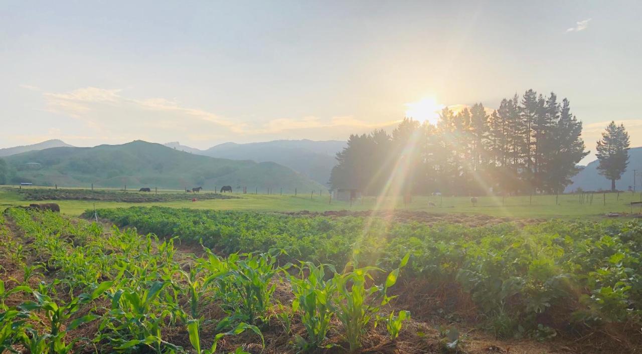Mohaka River Farm Te Haroto ภายนอก รูปภาพ