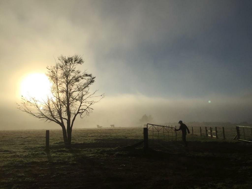Mohaka River Farm Te Haroto ภายนอก รูปภาพ