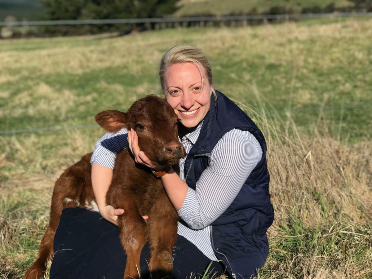 Mohaka River Farm Te Haroto ภายนอก รูปภาพ