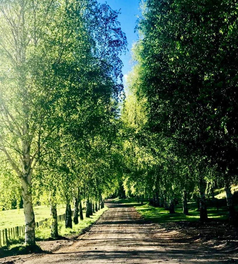 Mohaka River Farm Te Haroto ภายนอก รูปภาพ